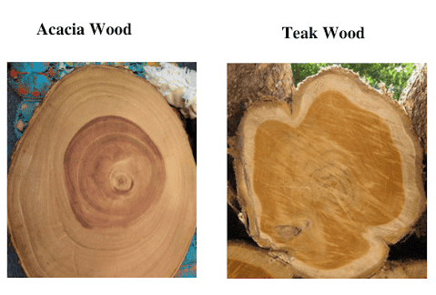 acacia vs teak