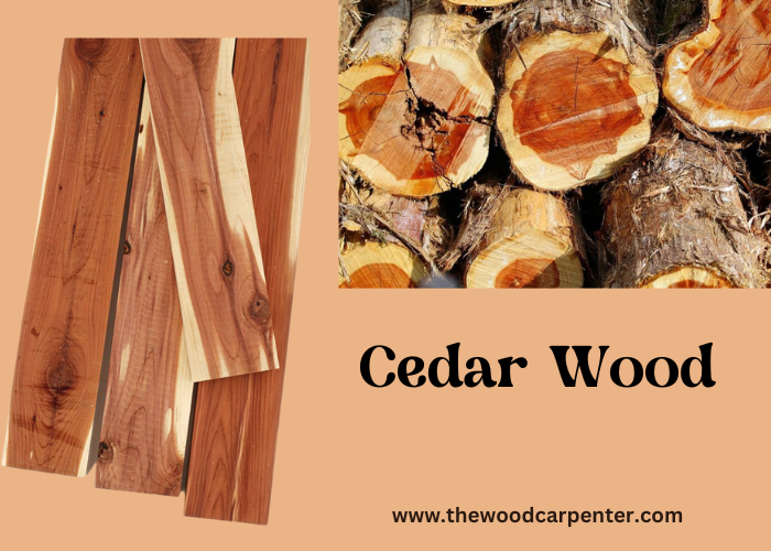 cedar wood