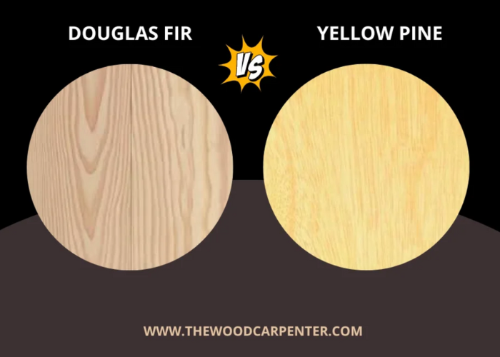 Douglas Fir vs Yellow Pine: Finding the Perfect one