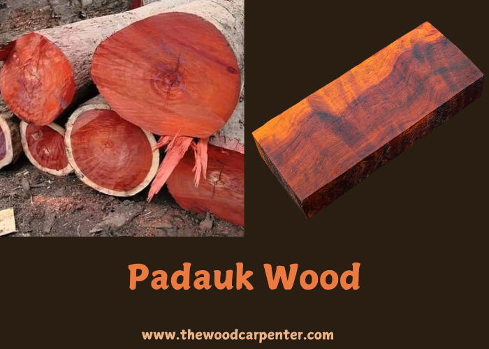 Padauk Wood