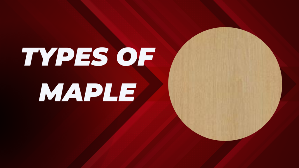 Types of Maple