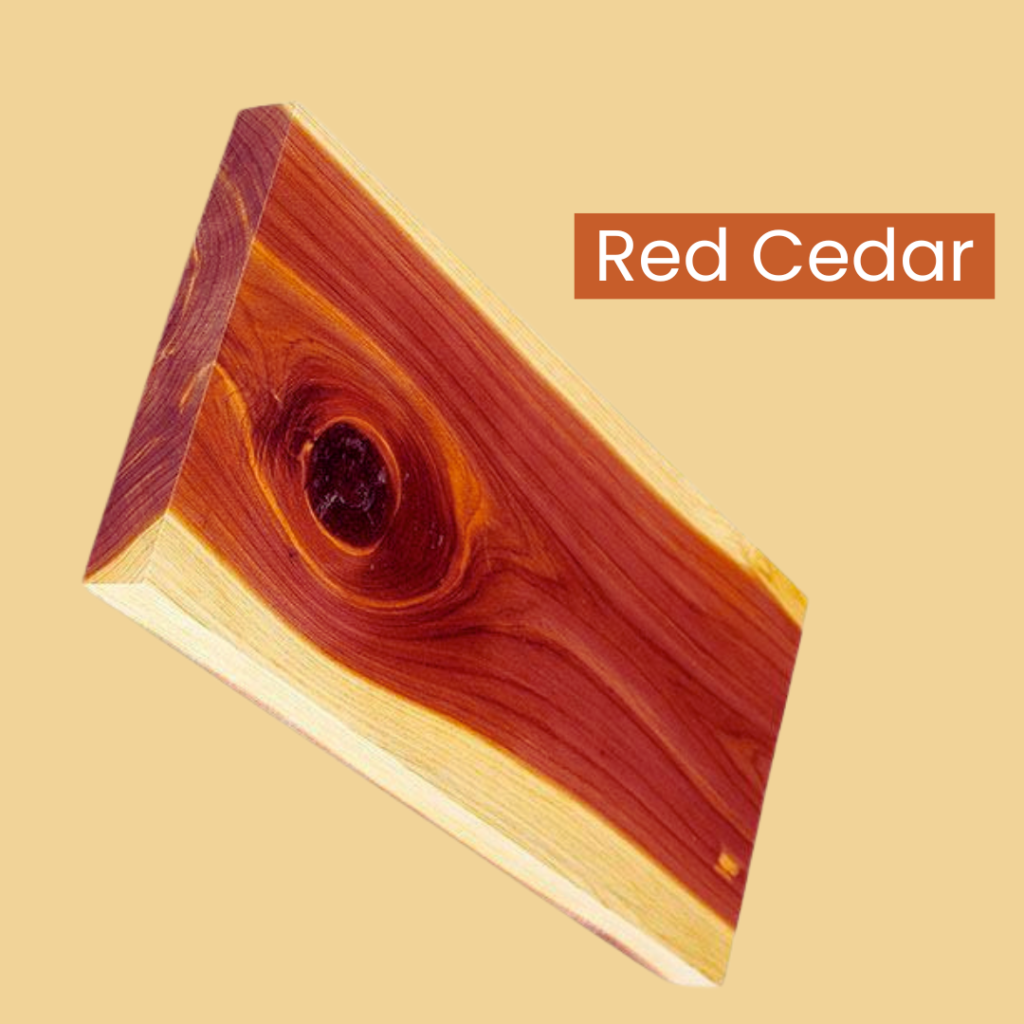 red cedar