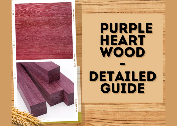 Detailed Guide to Purple Heart Wood: What Makes It Unique?