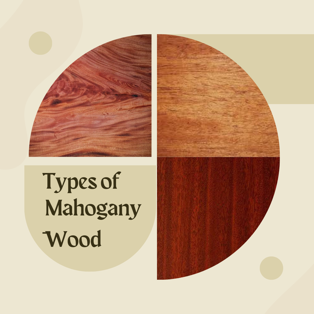 Types of Mahogany Wood