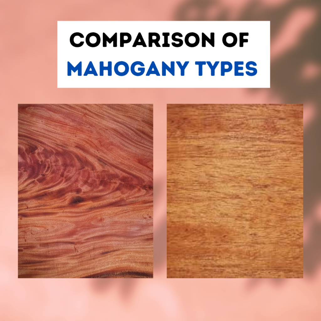 Comparison of Mahogany Types