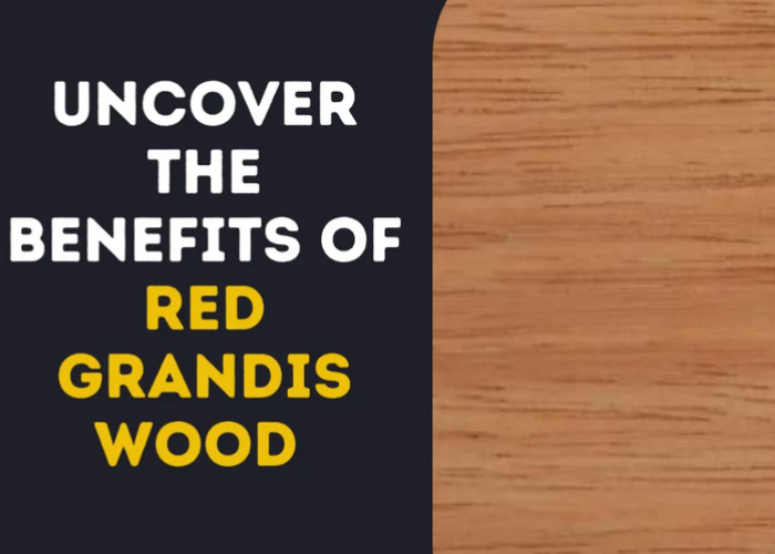 red grandis wood