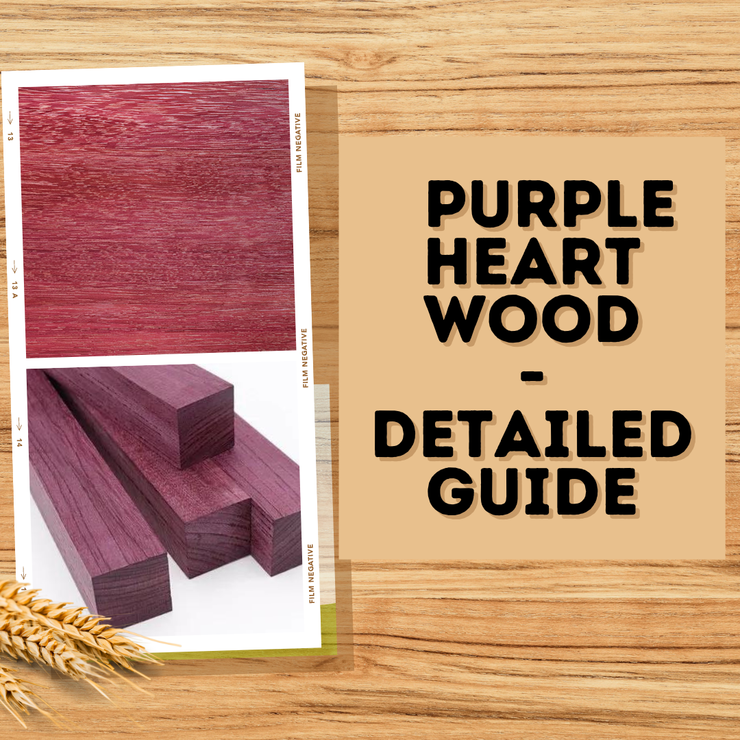 Detailed Guide to Purple Heart Wood: What Makes It Unique?