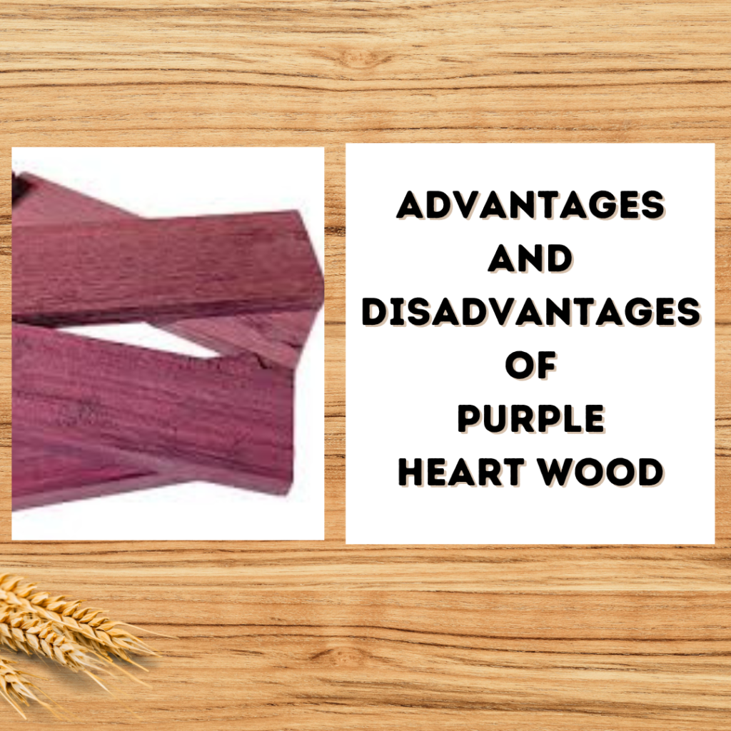 Advantages and Disadvantages of Working with Purple Heart Wood 