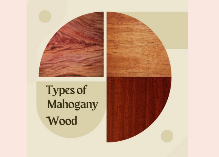 Types of Mahogany Wood