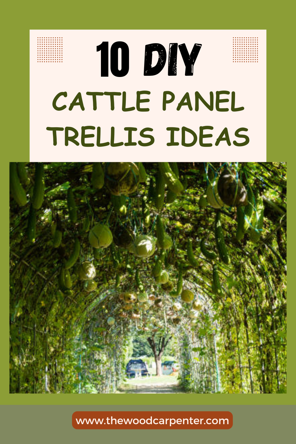 cattle panel trellis DIY