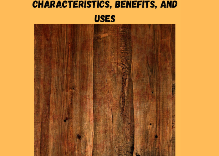 Mango Wood Characteristics, Benefits, and Uses