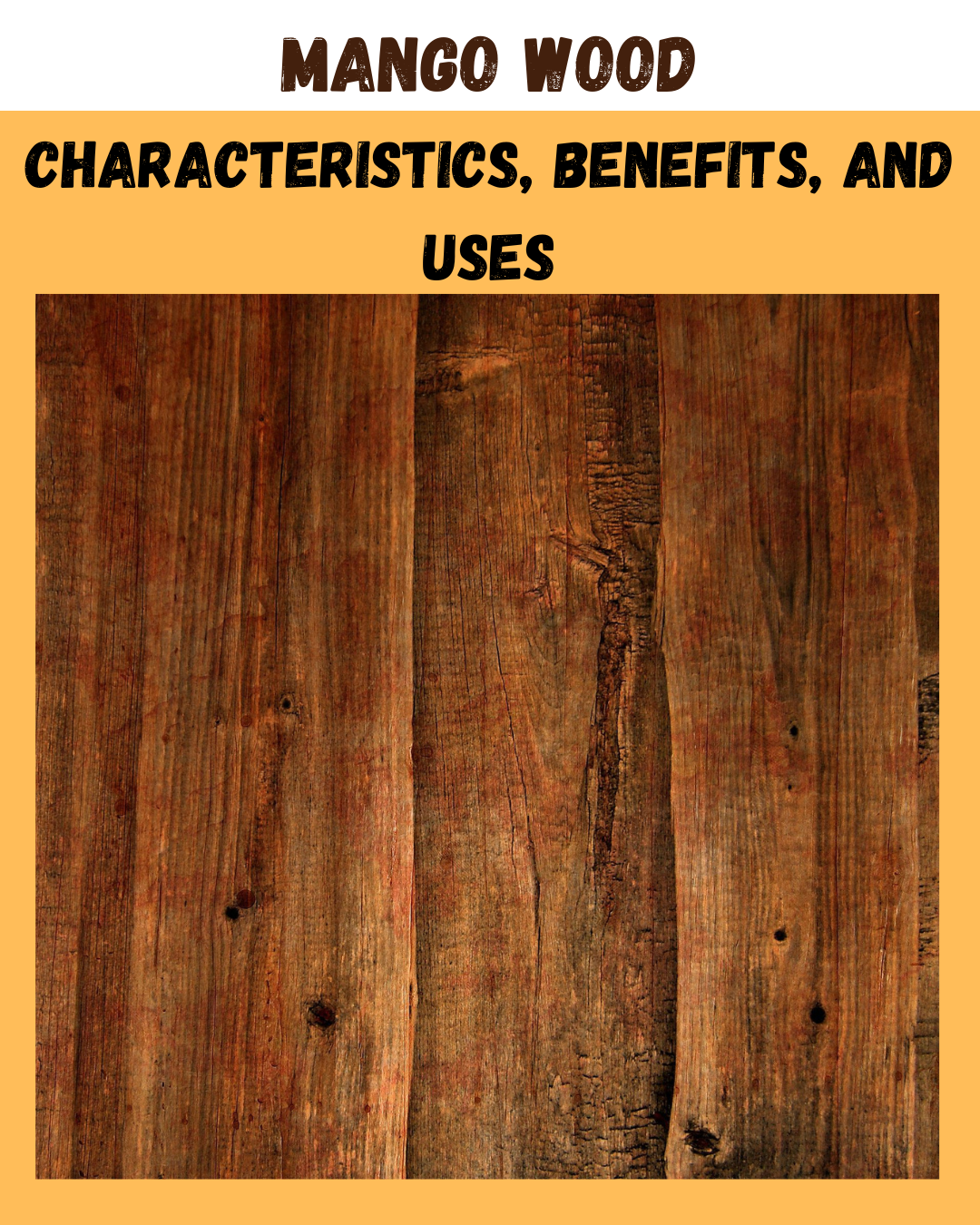Mango Wood: Characteristics, Benefits, and Uses