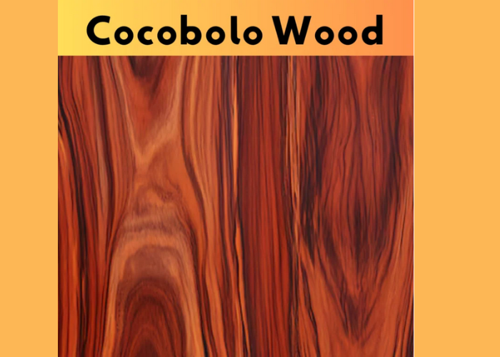 Cocobolo Wood