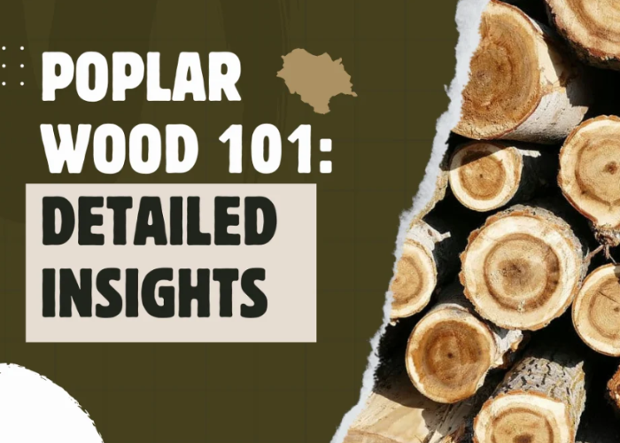 poplar-wood