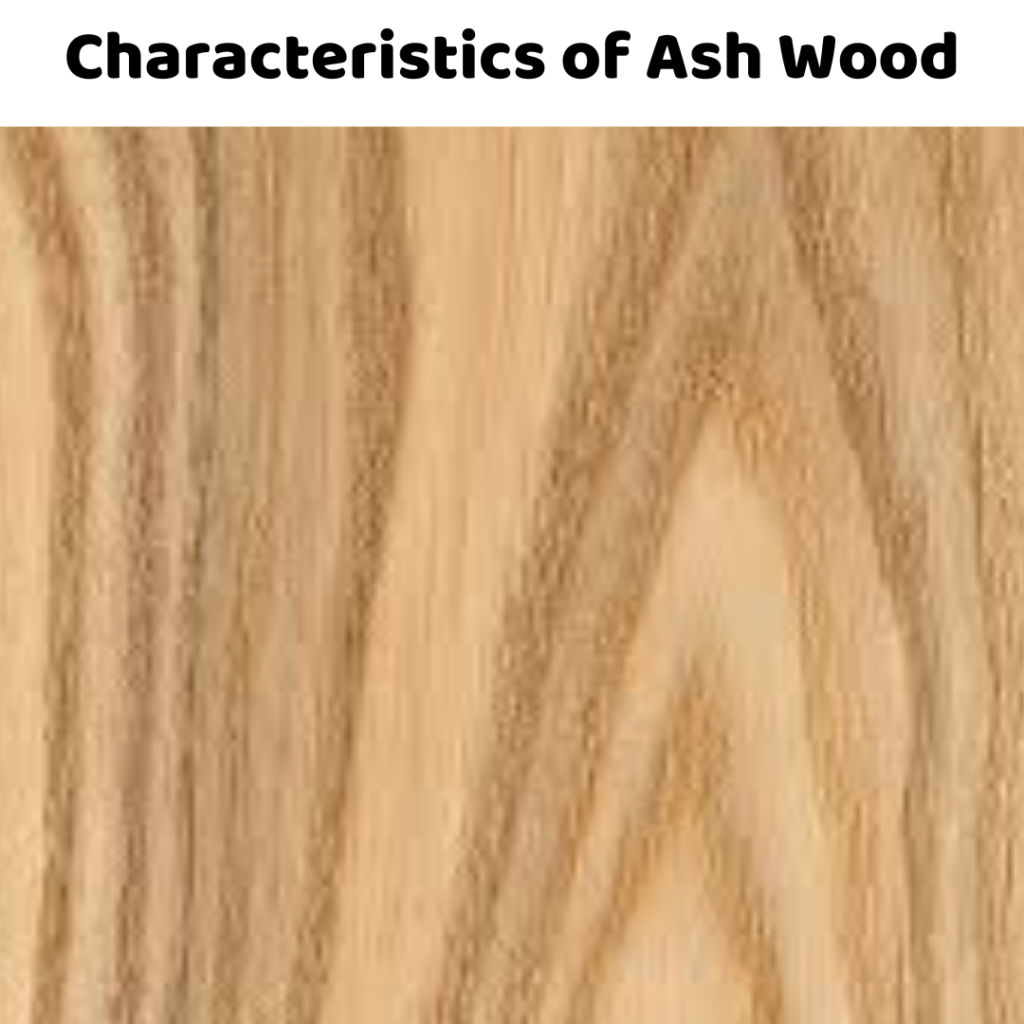 Characteristics of Ash Wood