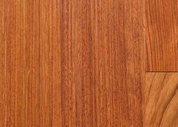 Brazilian Wood: Types, Uses and Benefits