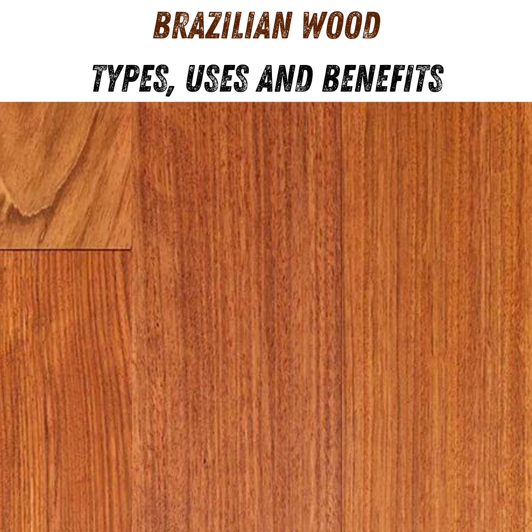 Brazilian Wood