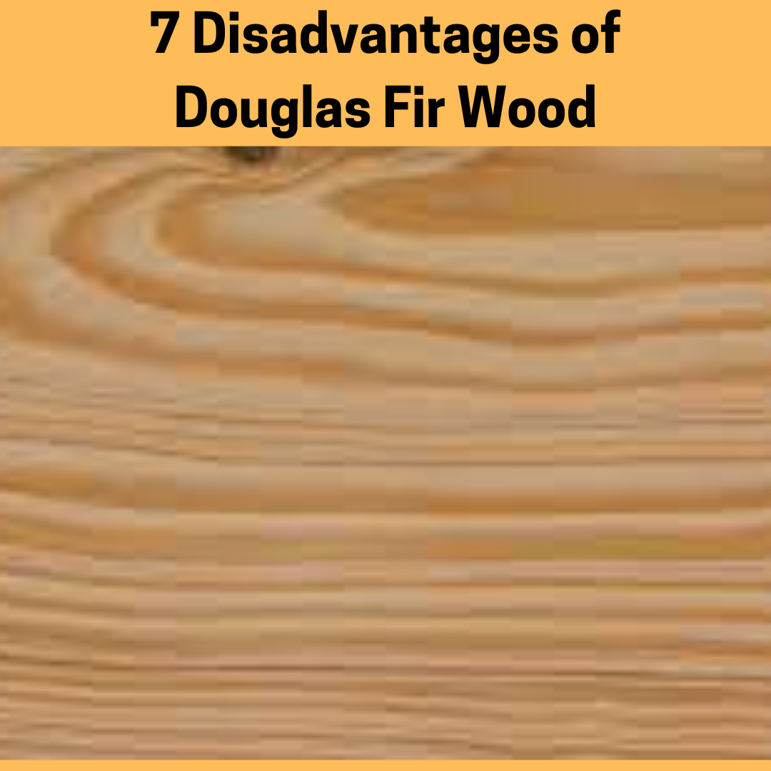 7 Disadvantages of Douglas Fir Wood