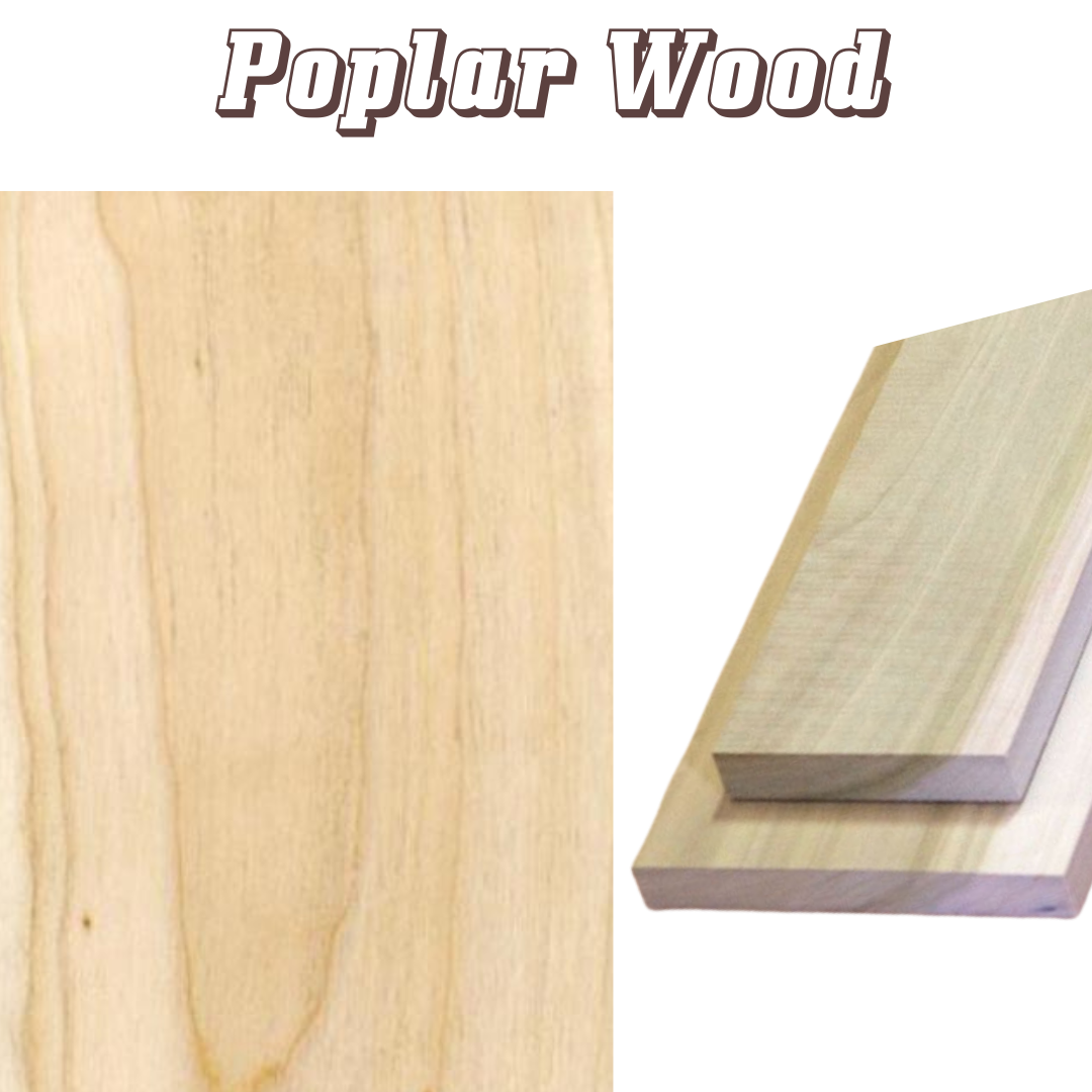 Is Poplar Wood Right for You? Find Out!