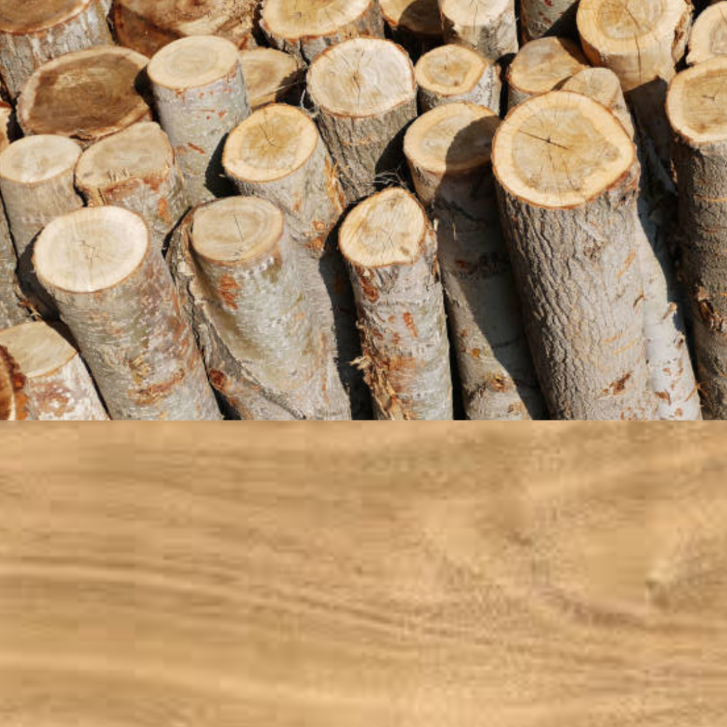 Is poplar wood a hardwood