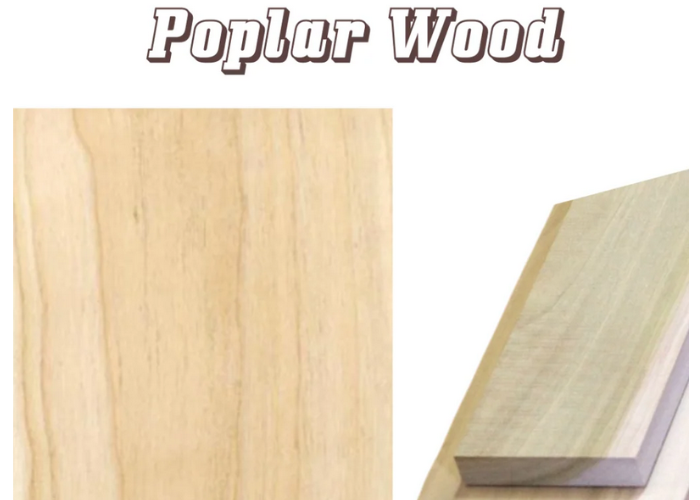 Is Poplar Wood Right for You? Find Out!