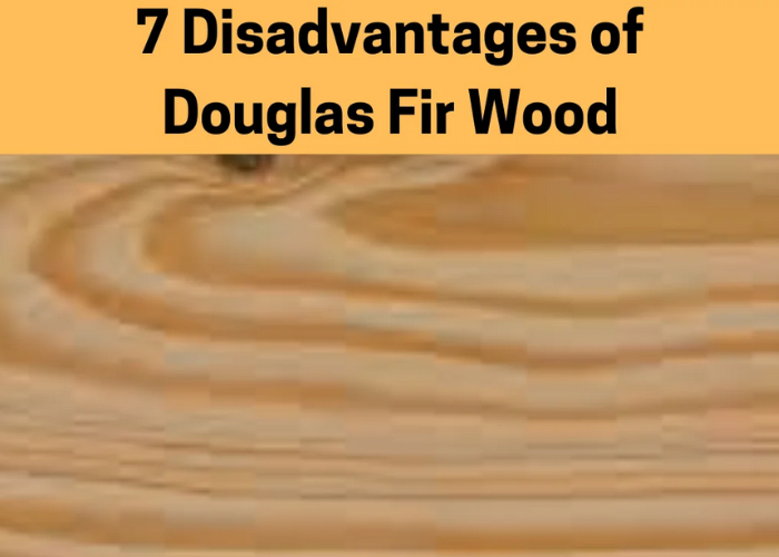 7 Disadvantages of Douglas Fir Wood You Need to Know