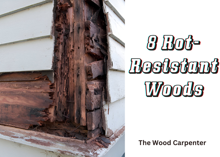 8 Types of Rot-Resistant Wood