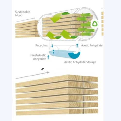 How Accoya Wood is Manufactured