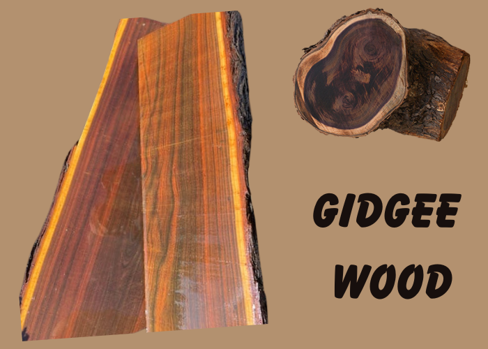 Gidgee Wood: 7 Key Characteristics