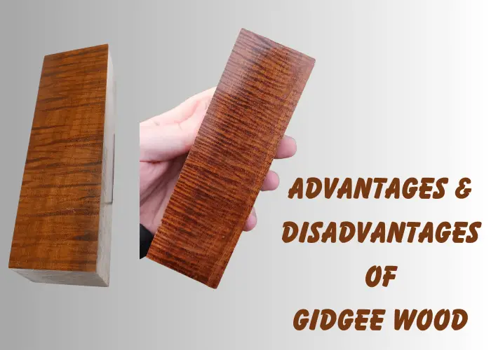 Advantages & disAdvantages of gidgee wood 