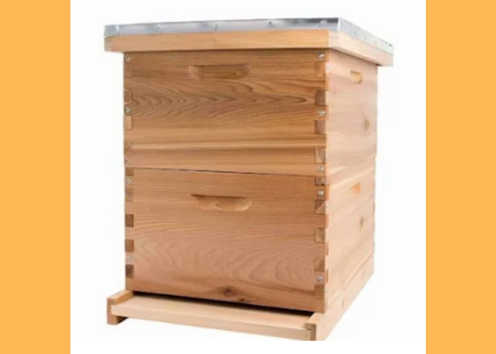 Beekeeping - Paulownia wood