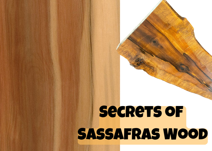 Unlocking the Secrets of Sassafras Wood