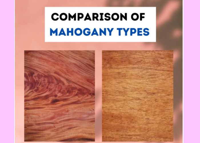 Comparison of Mahogany Types