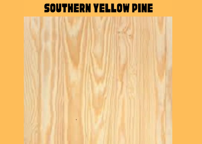 southern yellow pine