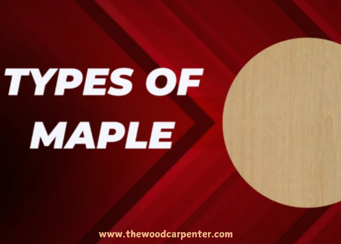 types of maple