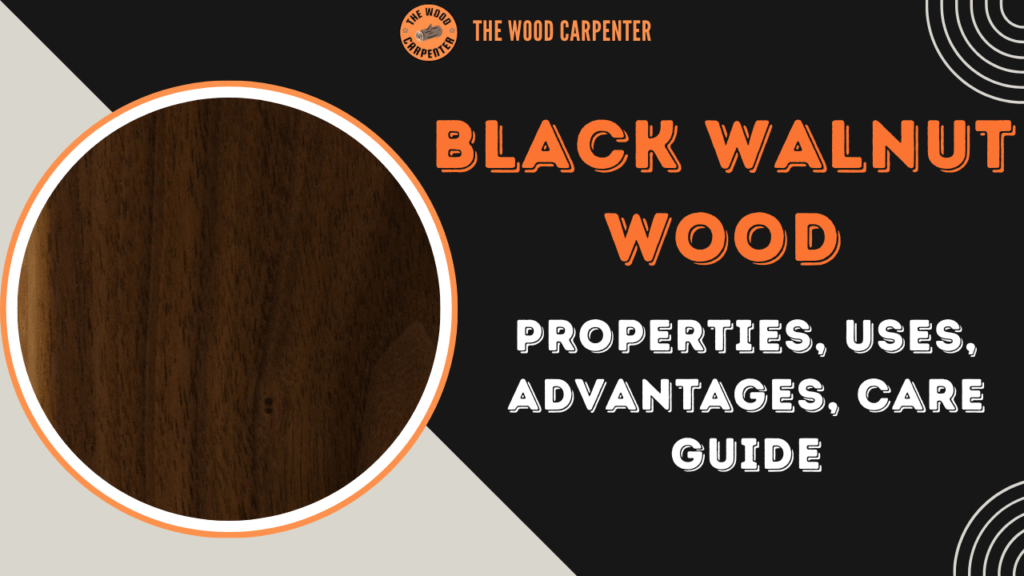 Black Walnut Wood: Properties, Uses, Advantages, Care Guide 1 Black Walnut Wood
