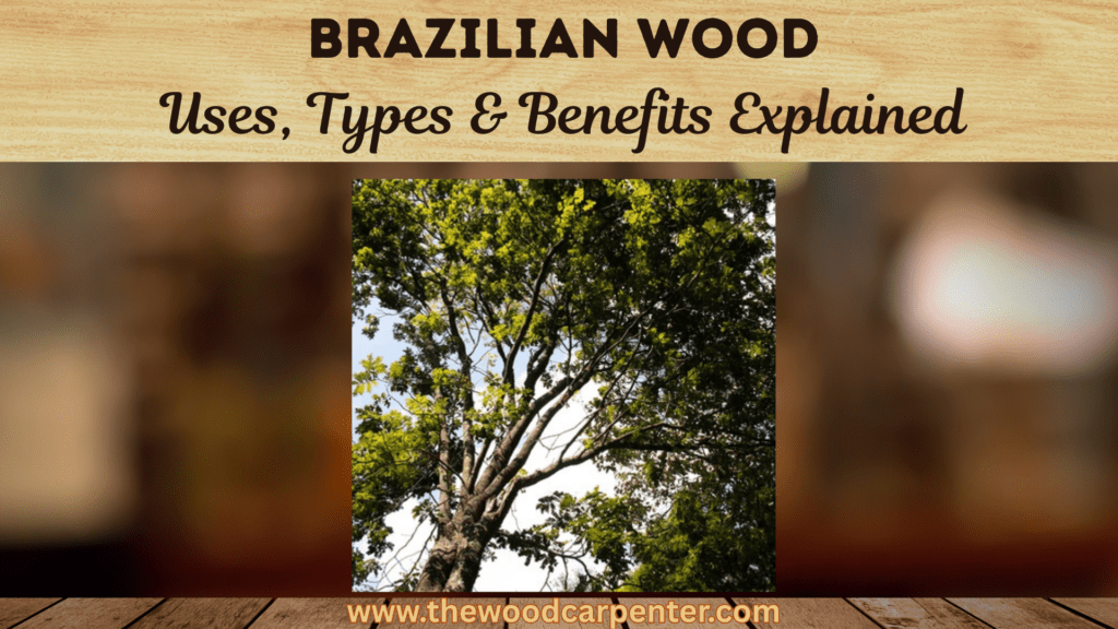 Brazilian Wood Uses, Types & Benefits Explained