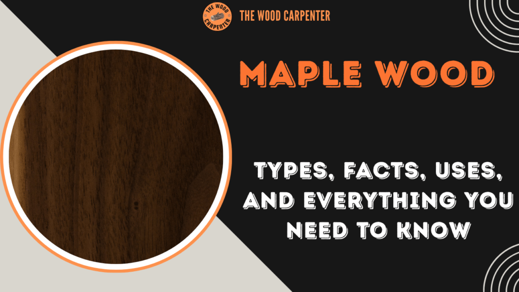 Maple Wood: Everything You Need to Know 1 Maple Wood