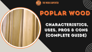 Poplar Wood