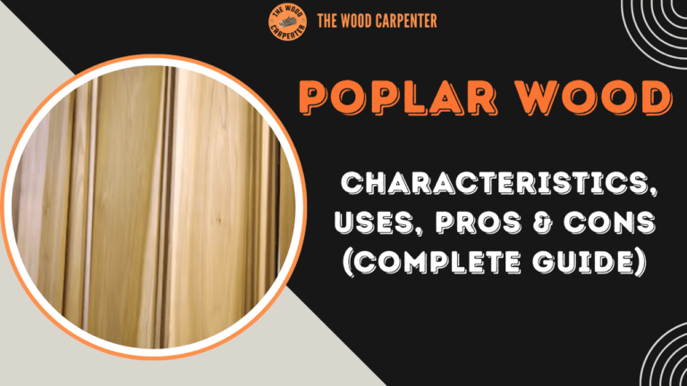 Poplar Wood