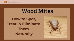 Wood Mites