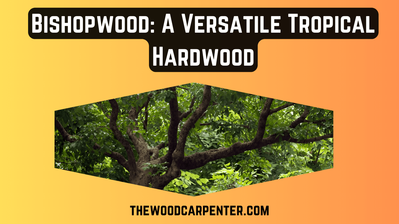 Bishopwood: A Versatile Tropical Hardwood 5 Bishopwood