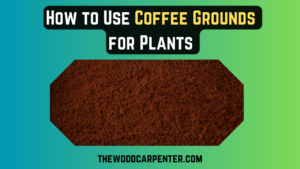 Coffee Grounds