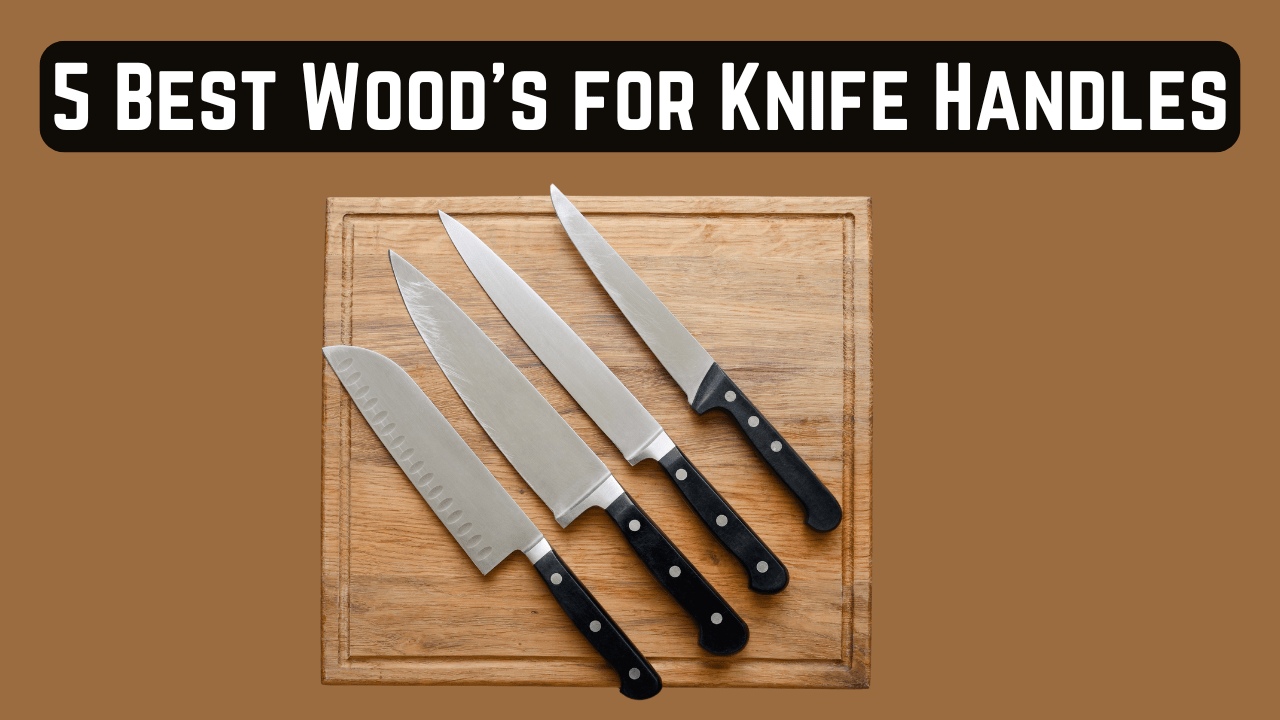 5 Best Wood's for Knife Handles 6 Knife Handles