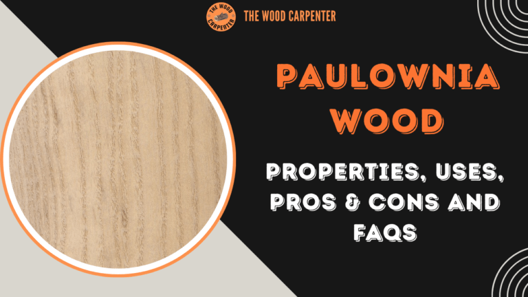 Paulownia Wood: Properties, Uses & Why It’s So Special ?