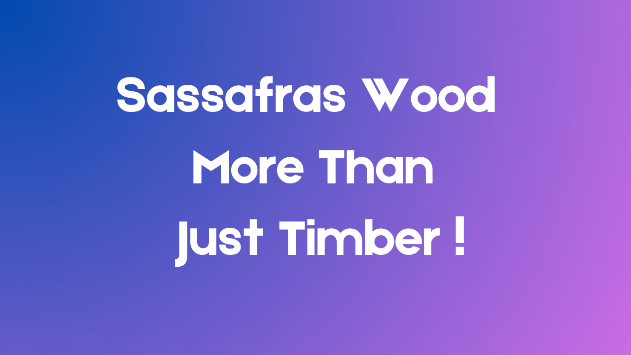 Sassafras Wood: More Than Just Timber ! 2 Sassafras Wood