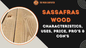 Sassafras Wood