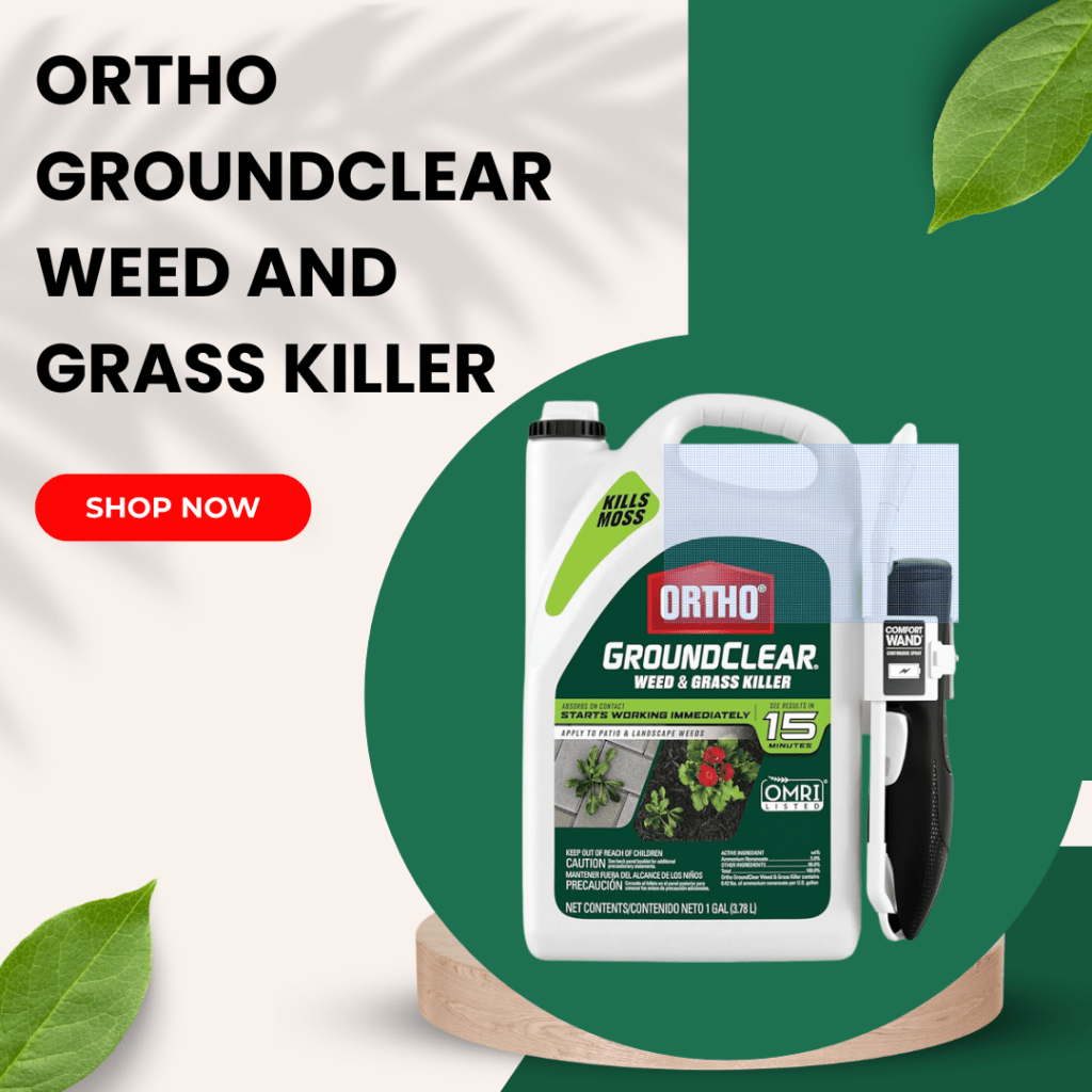 Top 5 Best Grass and Weed Killer 3 1