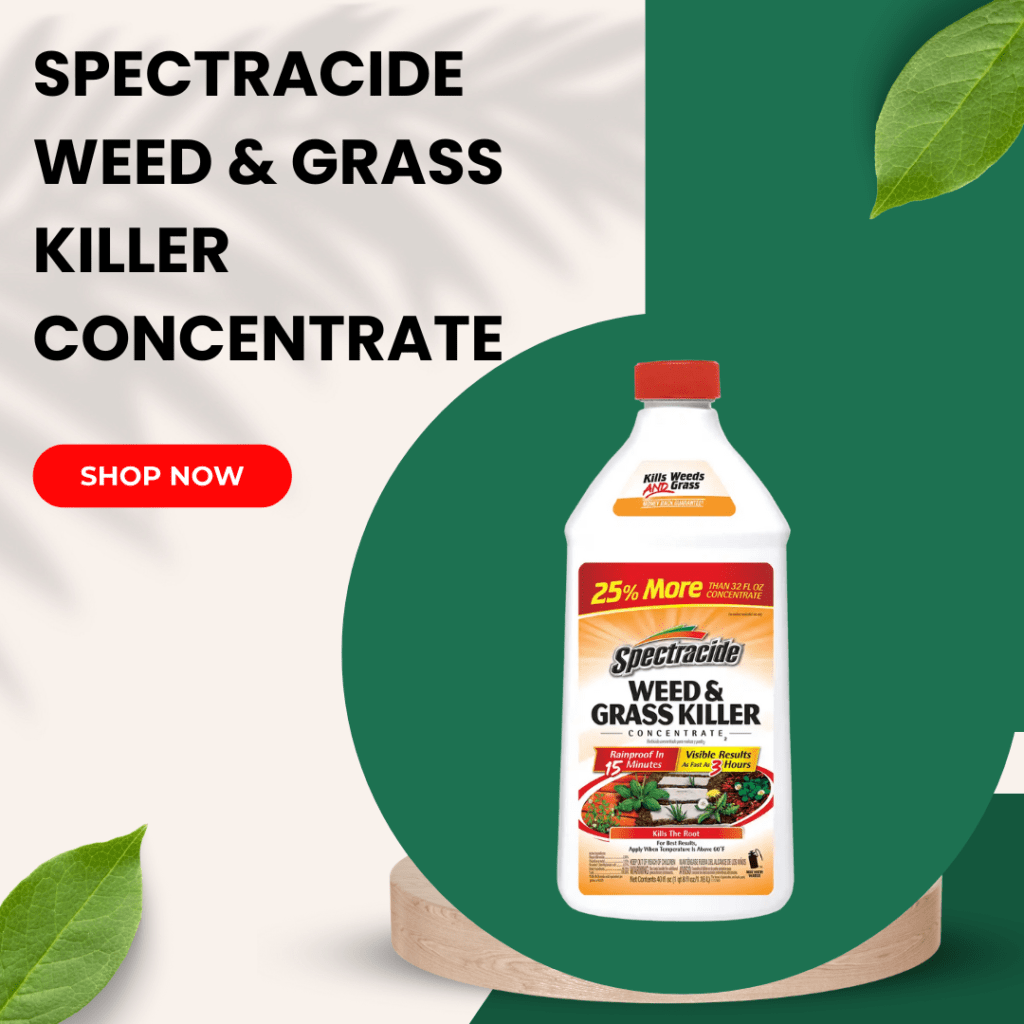 Top 5 Best Grass and Weed Killer 4 2
