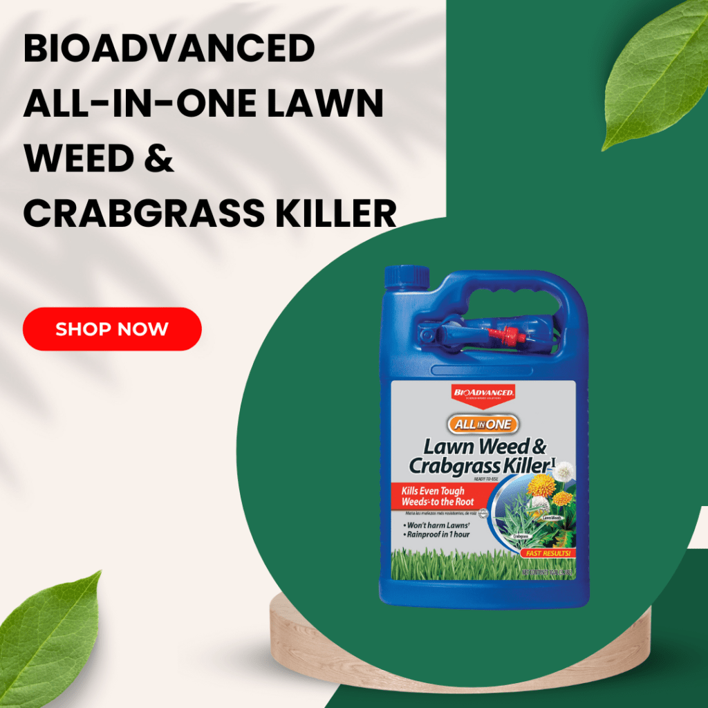 Top 5 Best Grass and Weed Killer 5 3
